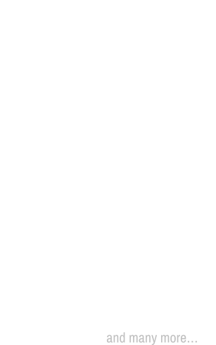 TV Programs:  Tahliq L Nousour (2013) Dahaya el Madi (2010) Mouftaraq Tariq (2008) Star Accademy  Arabs Got Talent Miss Lebanon (2003) Tanneh W Ghanneh Shaklak Mush Gharib Arab Casting Najm L Khalij Hay Hyeh L Ghennieh The X Factor Lebanese LOTO & Yanasib Hilm Adar Miriena Lamhet Hobb Talbyn el Erb Mini Studio Noujoum el Ouloum Aabra Ouioun L Oummahat Dayman Aamryn and many more